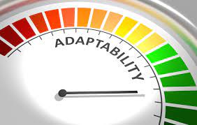 3 Best Ways To Assess Adaptability? 